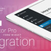 Elementor Pro — Pipedrive Elementor Pro — Pipedrive